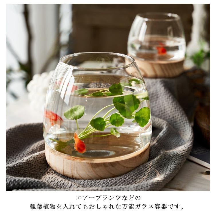 Amazon.co.jp: 金魚鉢 ガラス製 天然木 丸型 水槽 透明 クリア 丸 鉢
